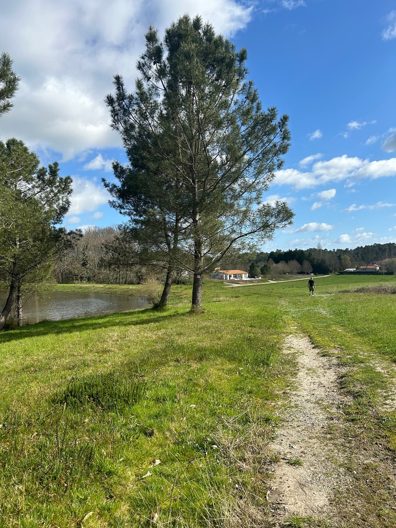 Wandelen